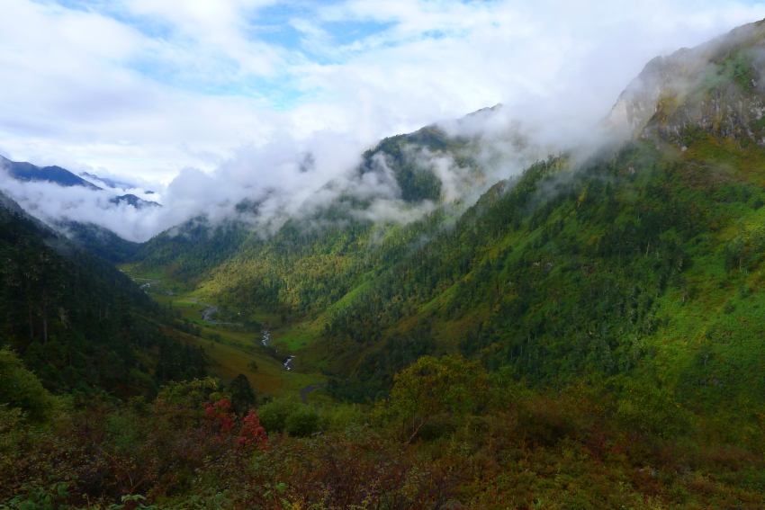 P1010720_conew1.jpg