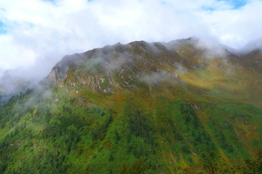 P1010717_conew1.jpg