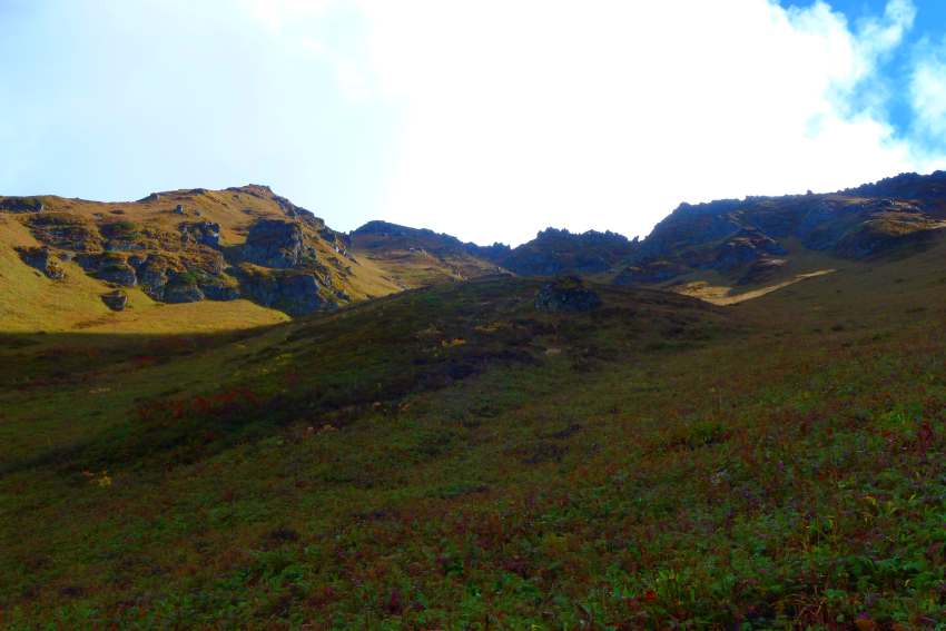 P1010740_conew1.jpg