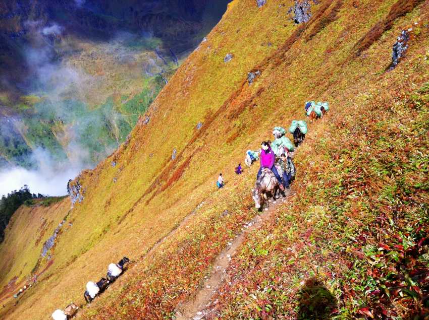 101APPLE_IMG_1571_conew1.jpg