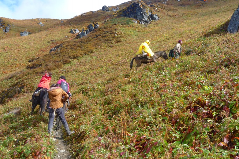 P1010763_conew1.jpg