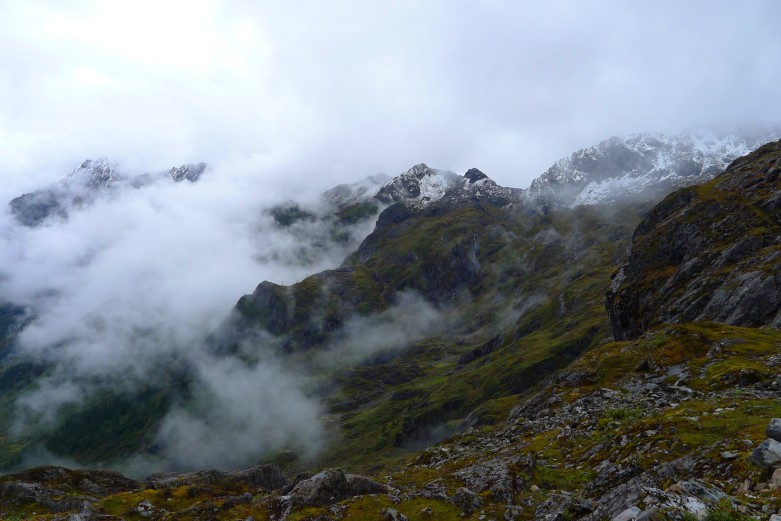 P1010793_conew1.jpg