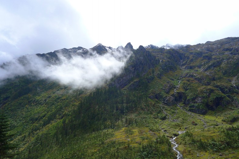 P1010801_conew1.jpg