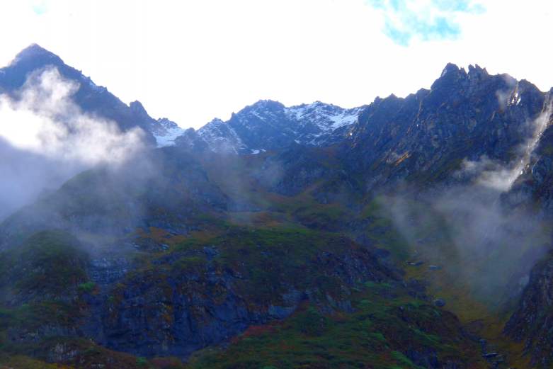 P1010730_conew1.jpg