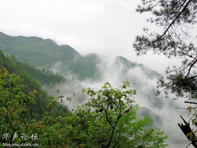 200905032340233692-1142827.jpg