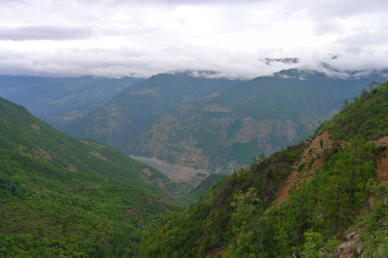 P1010835_conew1.jpg