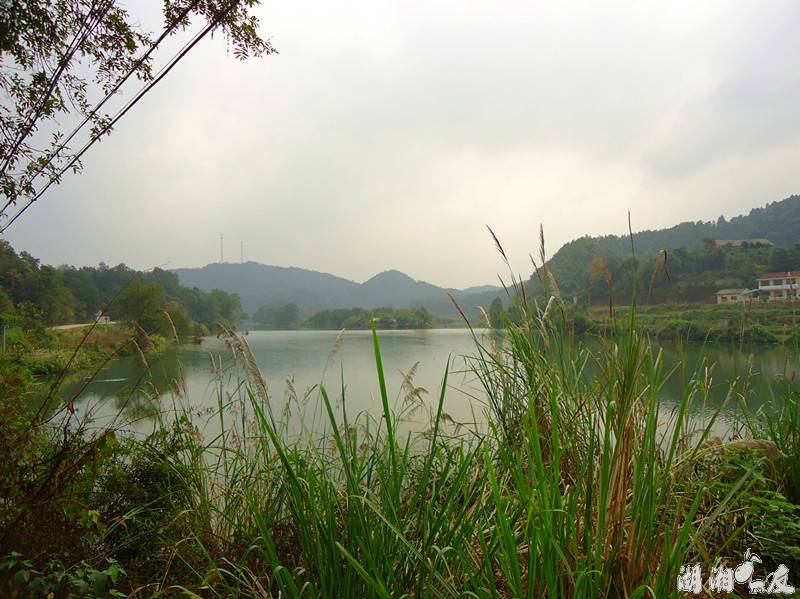 DSC07549_����.jpg