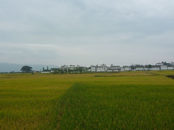 P1090918.jpg