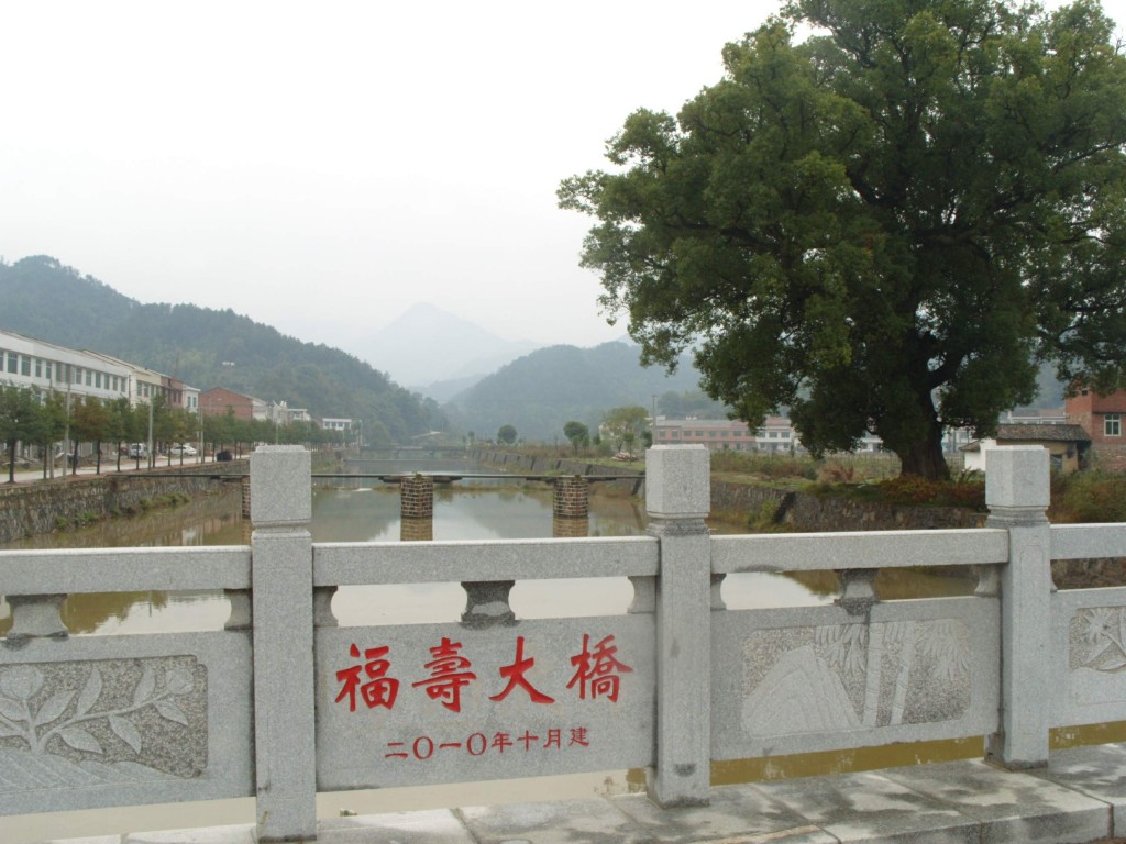 conew_s1053908.jpg