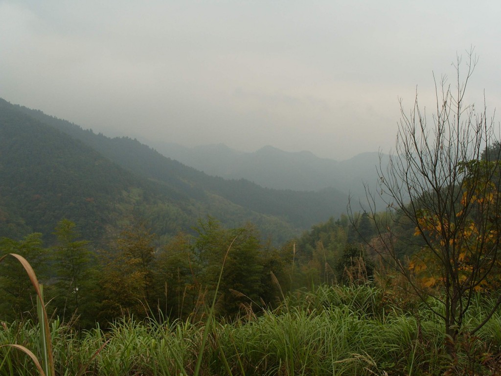 conew_s1054065.jpg