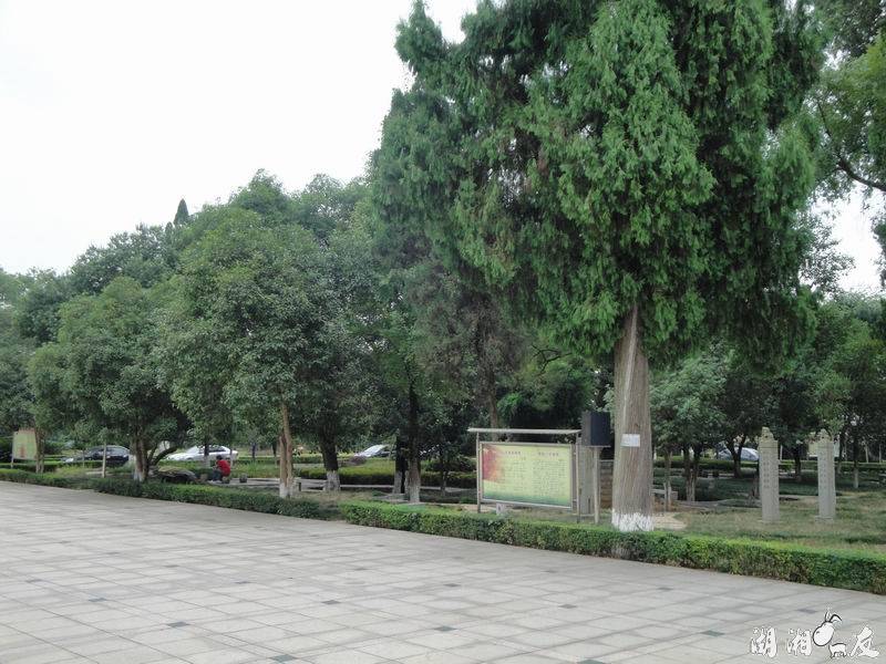 ������С DSC03642.JPG