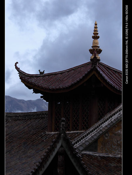 DPP_0422.jpg