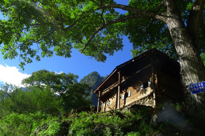 conew_p1010624.jpg