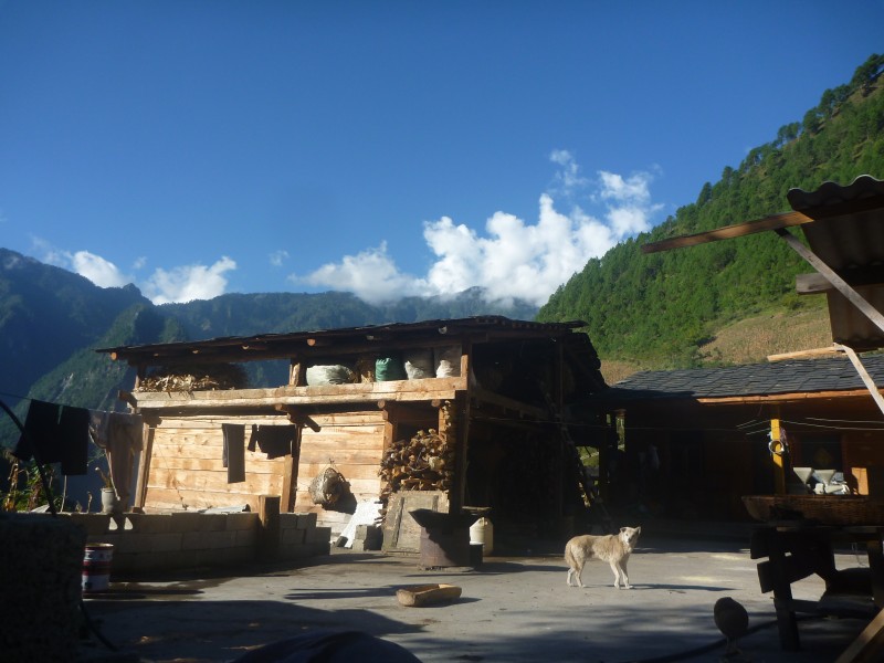 conew_p1090780.jpg