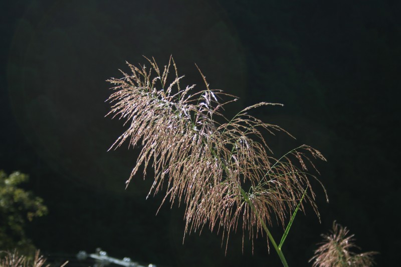 conew_img_6346.jpg