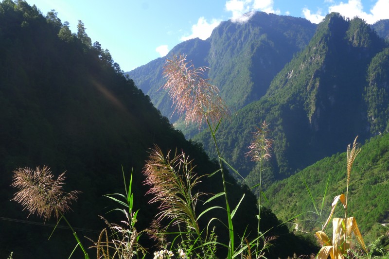 conew_p1010620.jpg