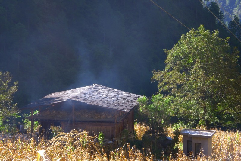 conew_p1010614.jpg
