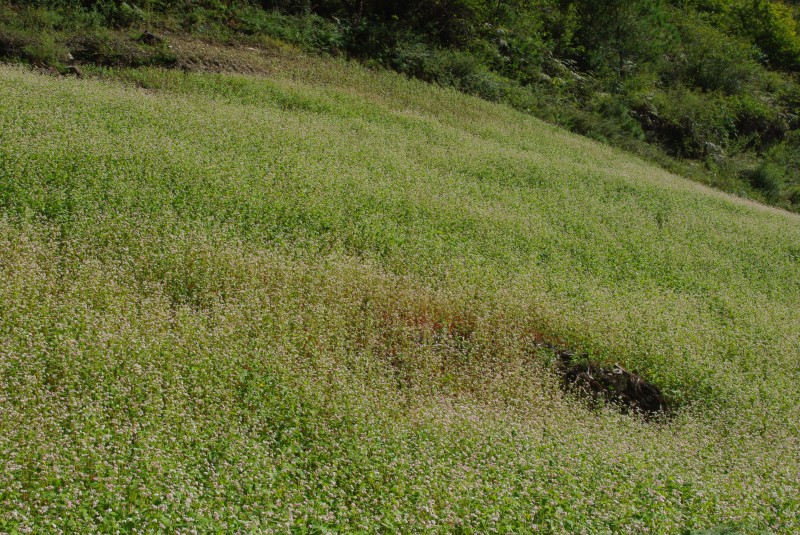 conew_imgp2731.jpg