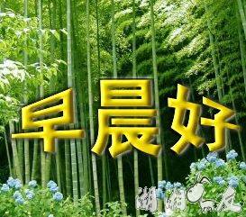 �糿��.JPG