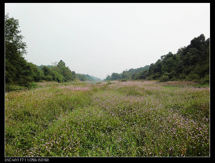 DSC00051.jpg