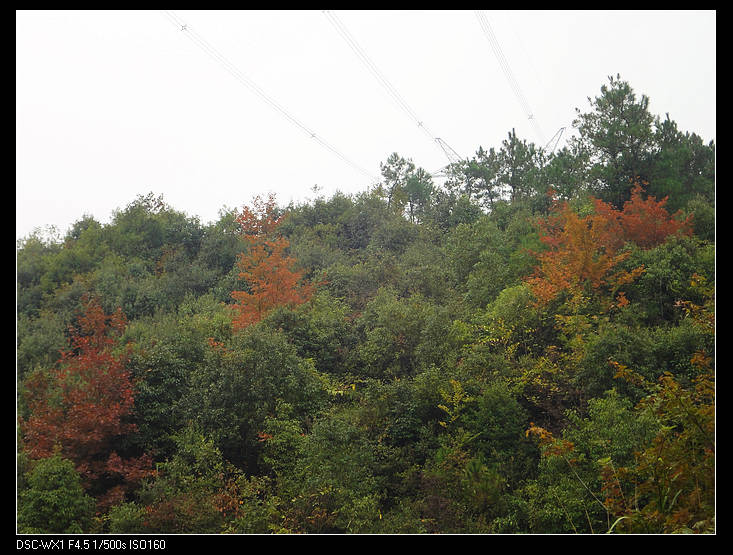 DSC00086.jpg