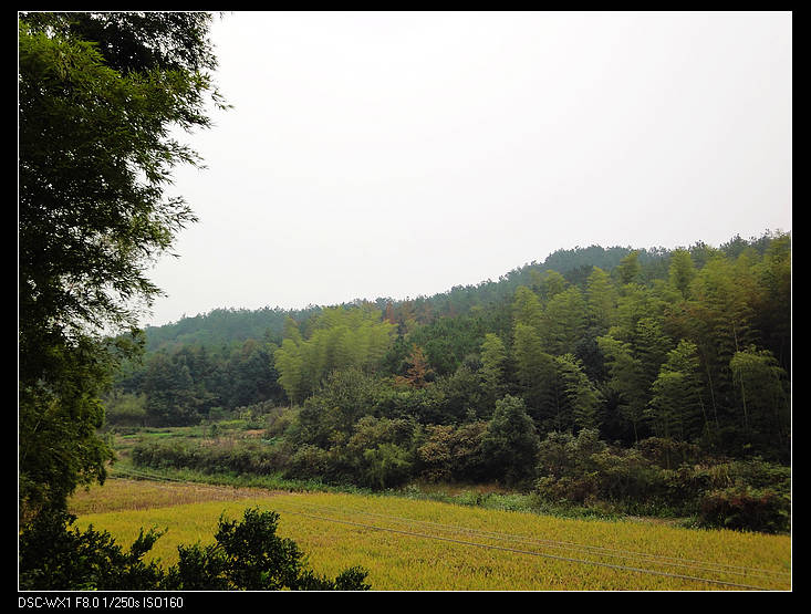 DSC00082.jpg