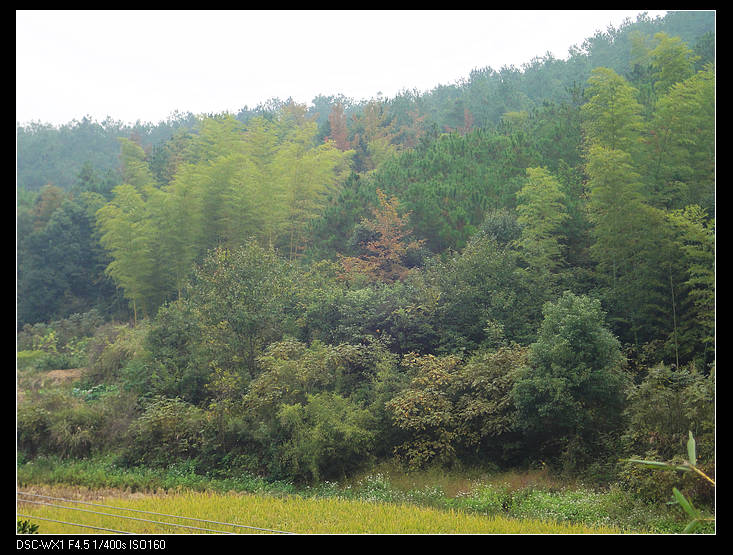 DSC00083.jpg