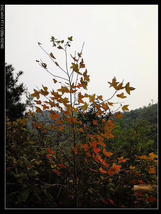 DSC00132.jpg