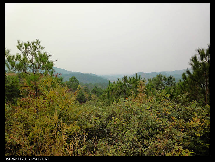 DSC00205.jpg