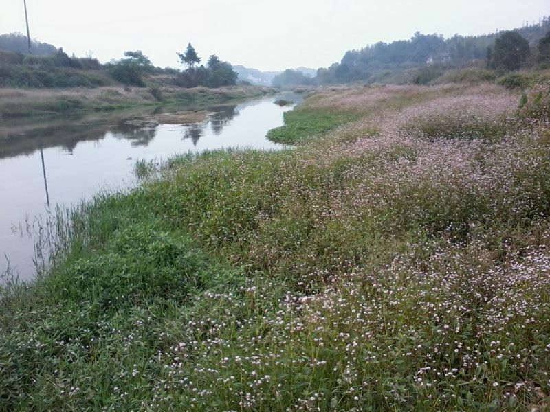 ��Ƭ3181_001.jpg