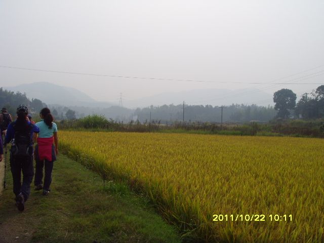 ����һ�굾�Ȼ�