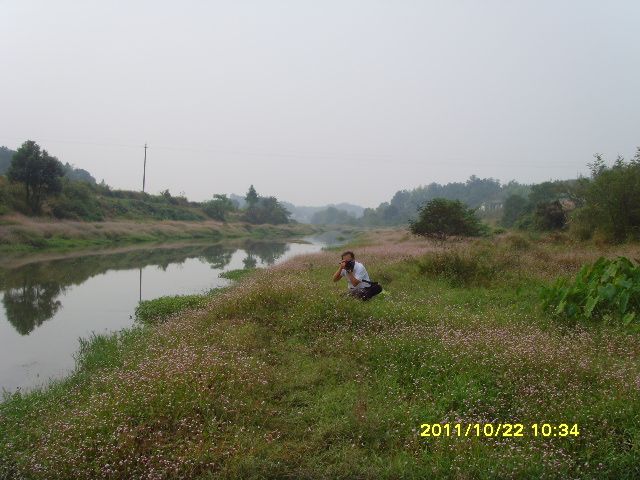 SNV33213.jpg