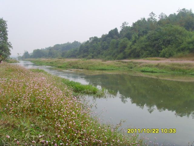 SNV33211.jpg
