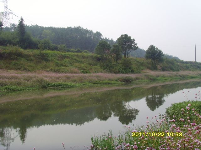 SNV33212.jpg