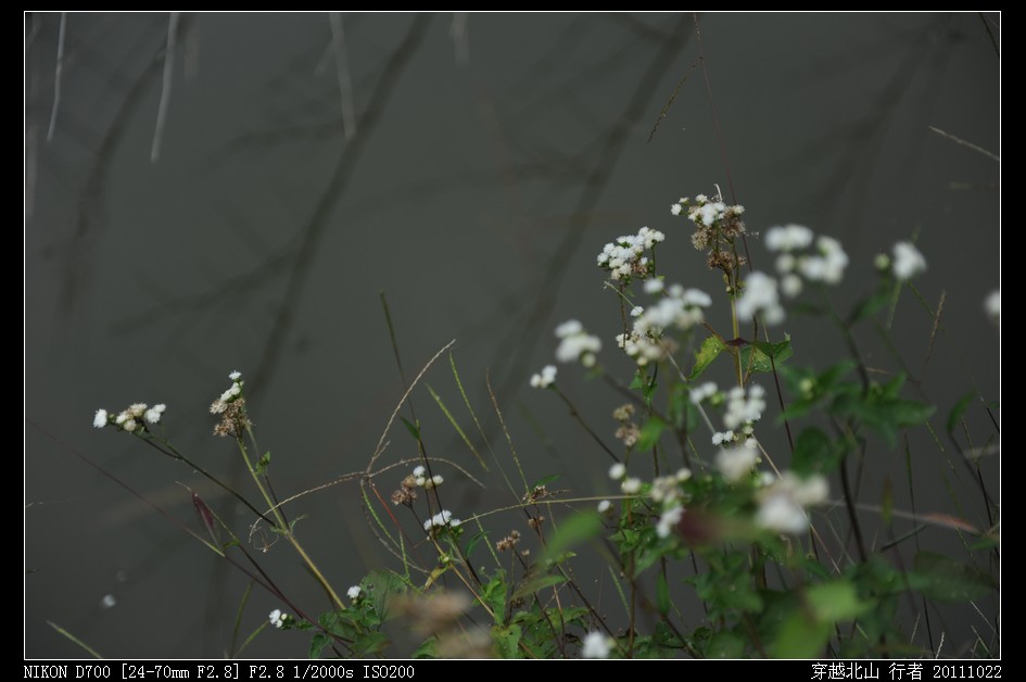 DSC_0025.jpg