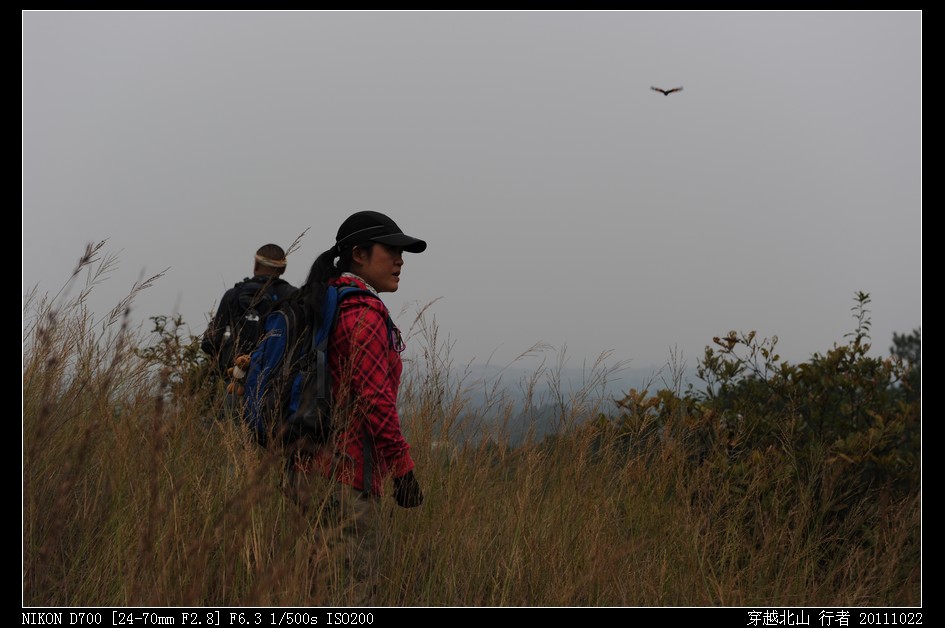DSC_0161.jpg