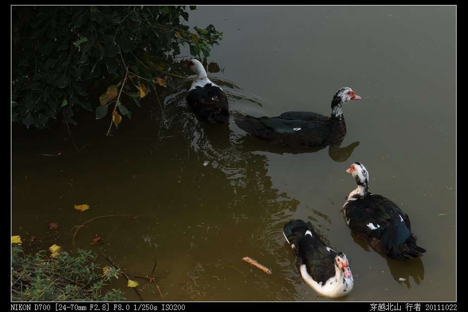 DSC_9706.jpg