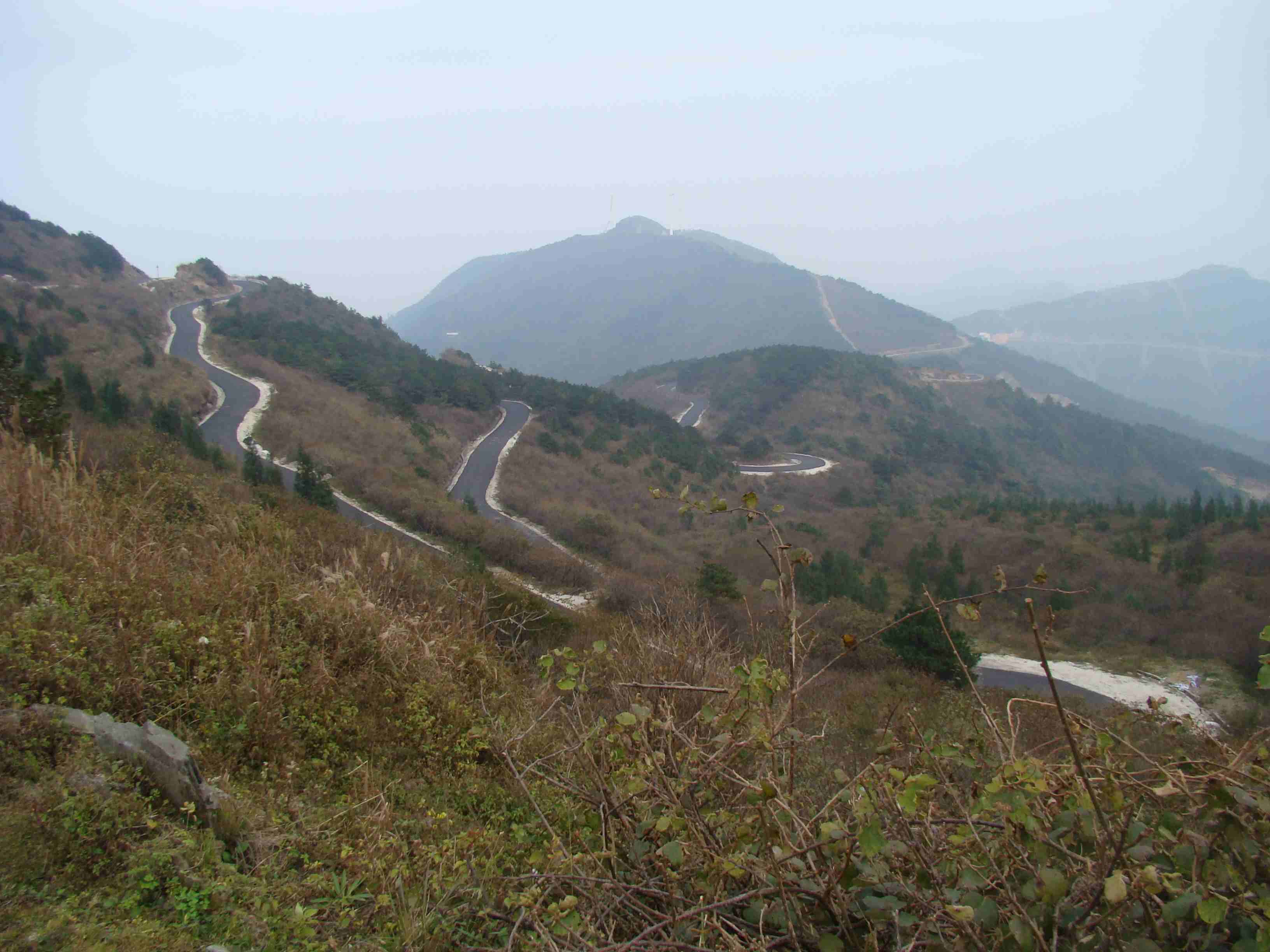 DSC07082.jpg