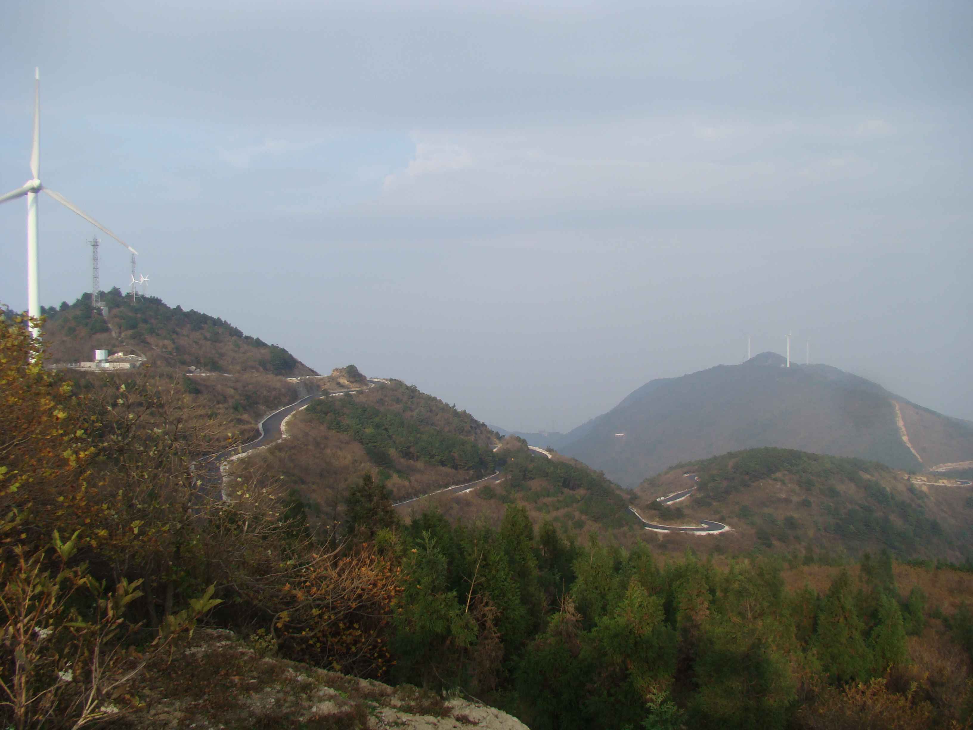 DSC07084.jpg