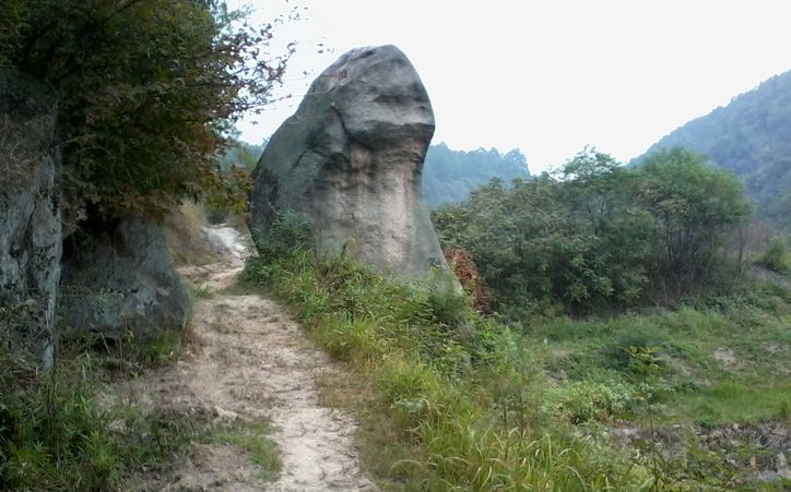 ��Ƭ3226_001.jpg