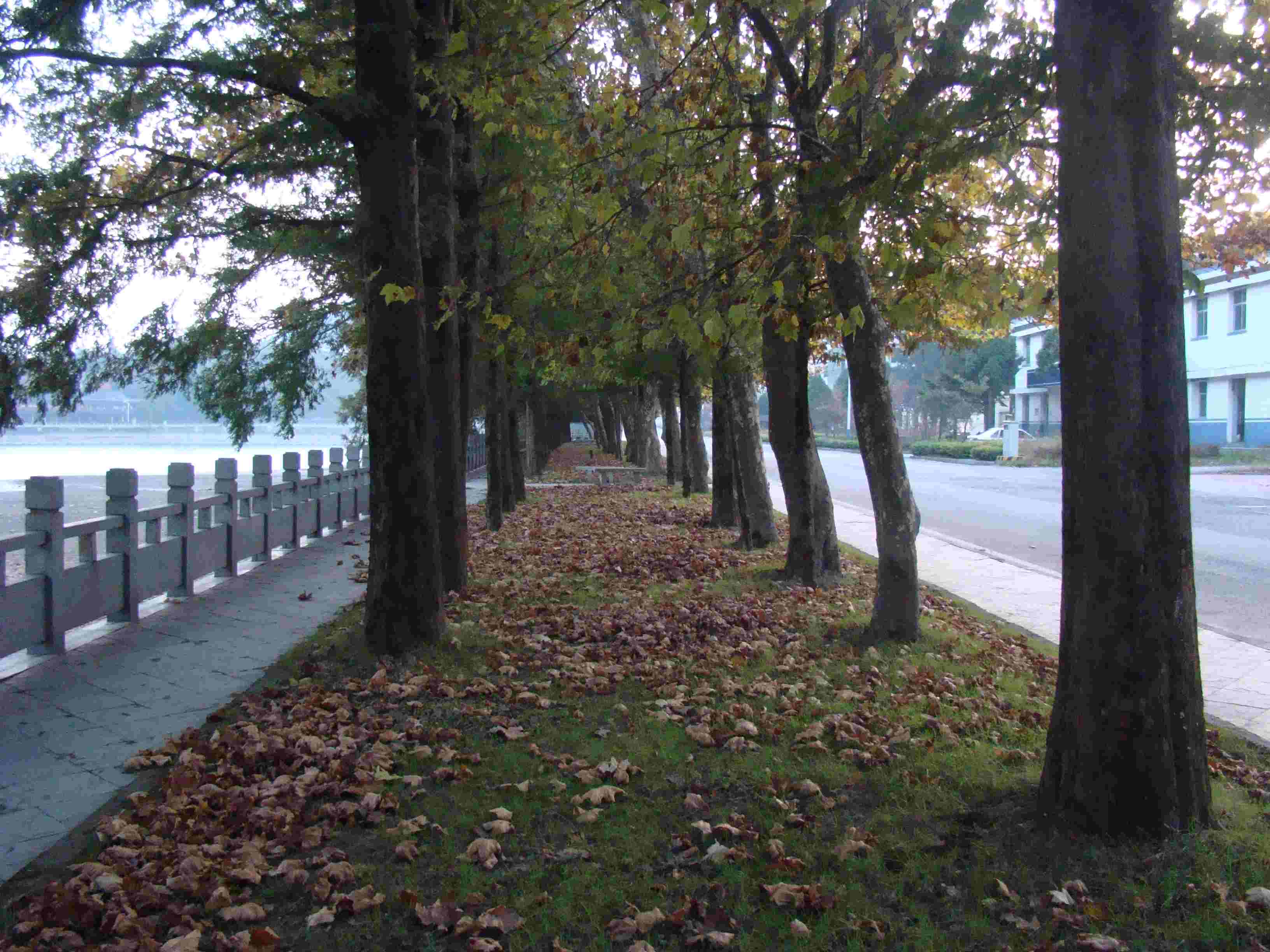 DSC07107.jpg
