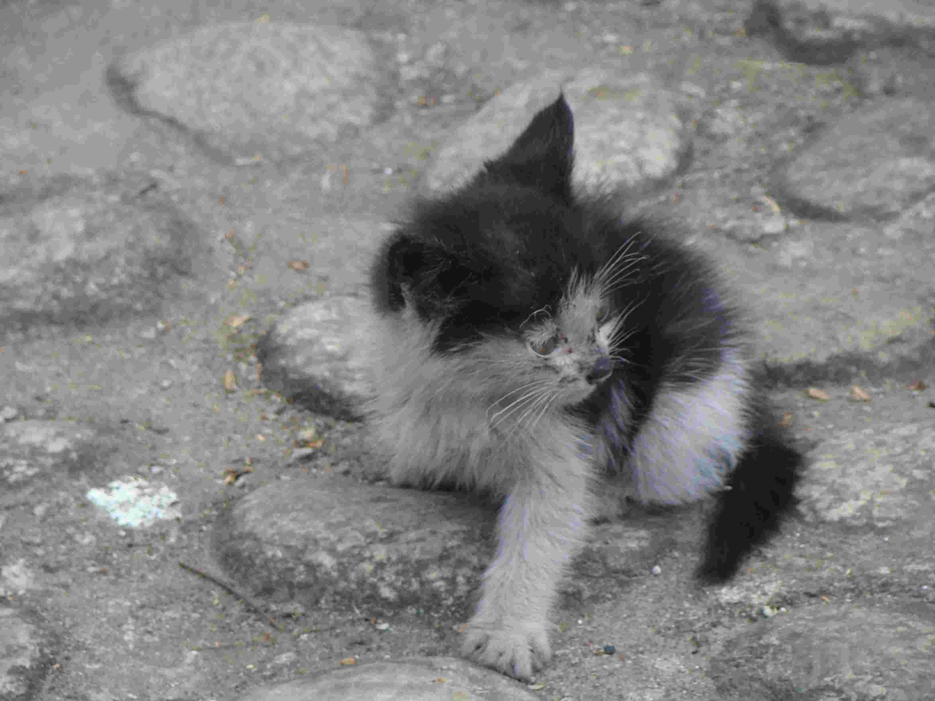 DSC07121.jpg