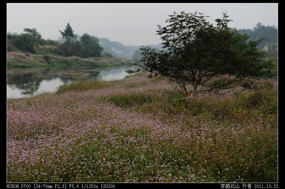 DSC_9745.jpg
