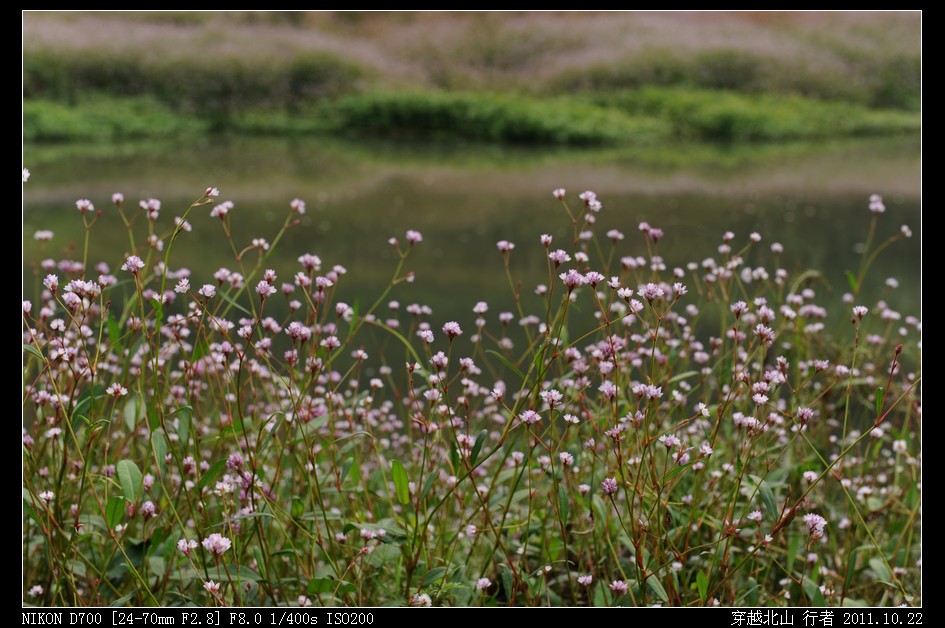 DSC_9749.jpg
