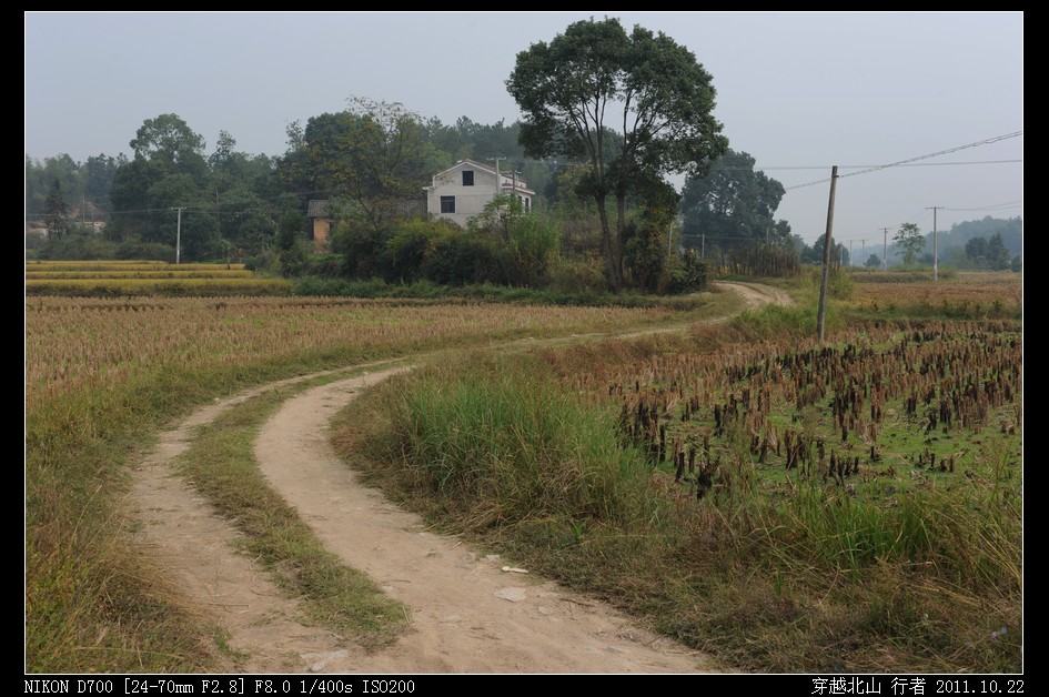 DSC_9724.jpg