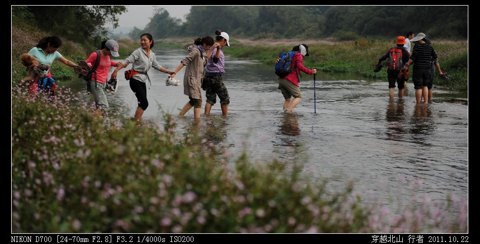 DSC_9772.jpg
