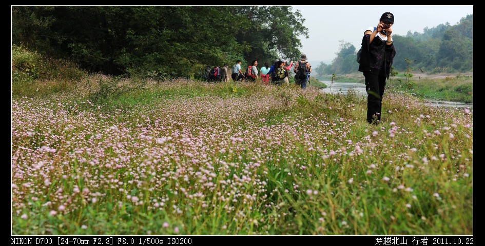 DSC_9756.jpg