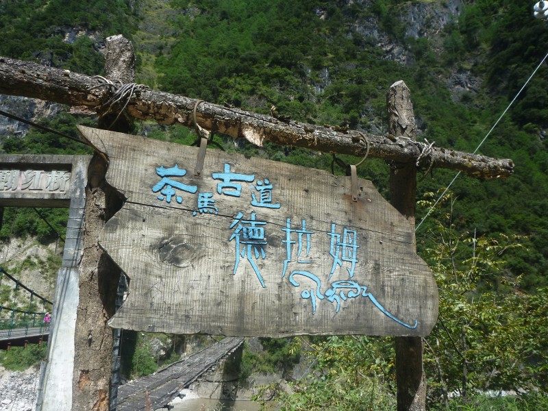 conew_p1090816.jpg