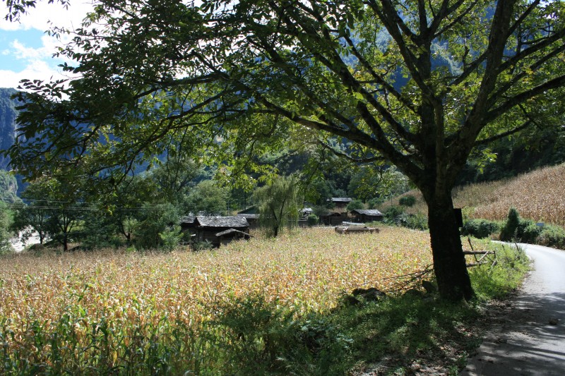 conew_img_6377.jpg