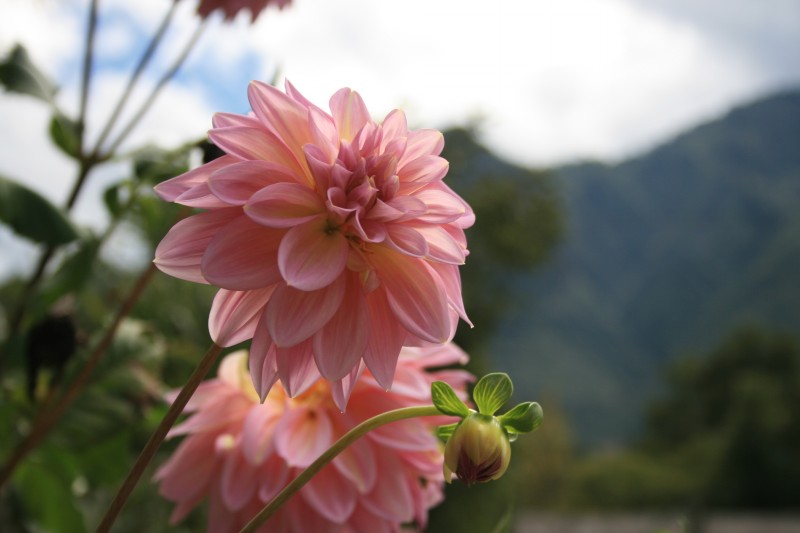 conew_img_6392.jpg